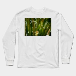 Yucca Art Long Sleeve T-Shirt